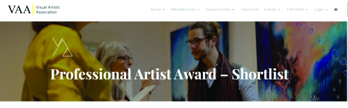 PROFESSIONAL ARTIST OF THE YEAR - SHORTLISTED ARTIST